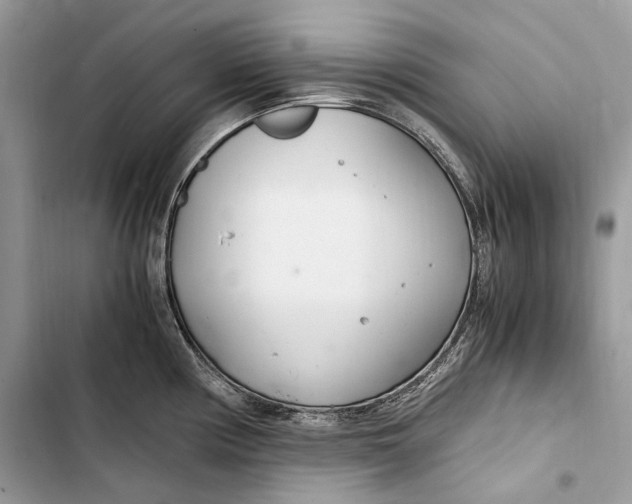 X0000103481194200810031536