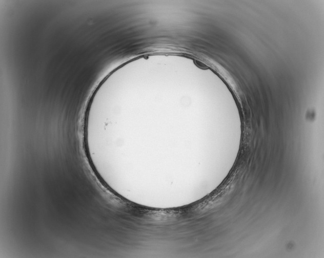 X0000103481195200810031536