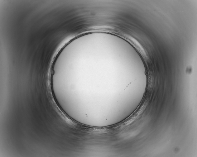 X0000103481196200810031536