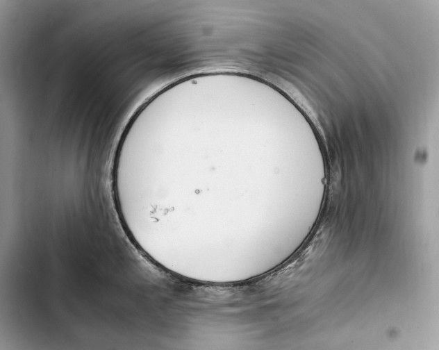 X0000103481197200810031536