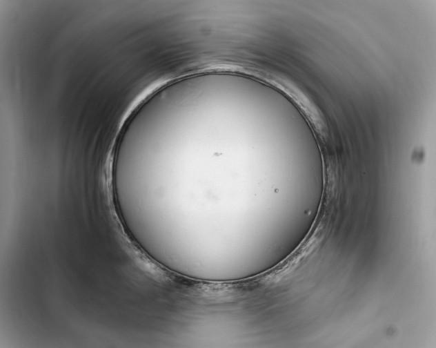 X0000103481198200810031536