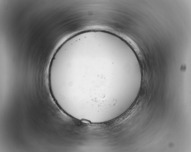 X0000103481199200810031536