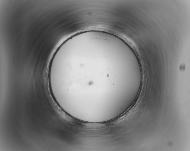 X0000103481200200810031536