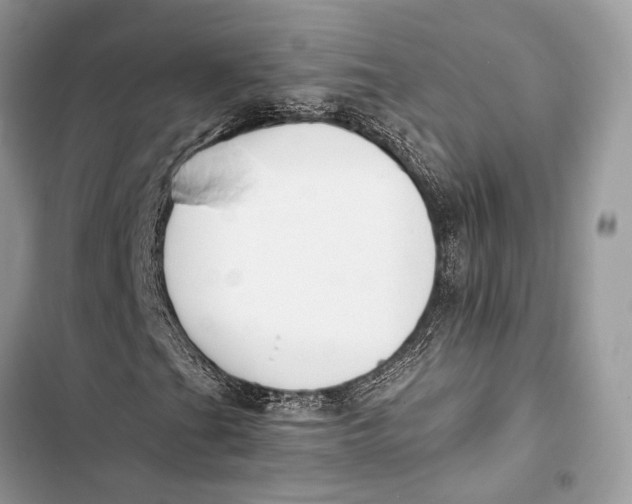 X0000103481201200810031535