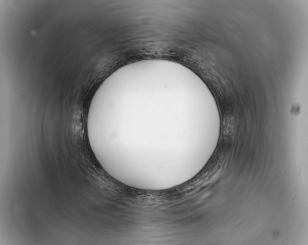 X0000103481202200810031535