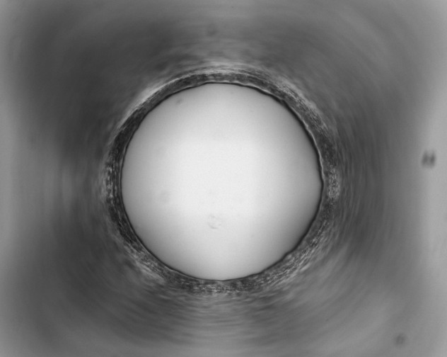 X0000103481208200810031535