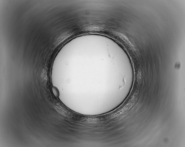 X0000103481209200810031535