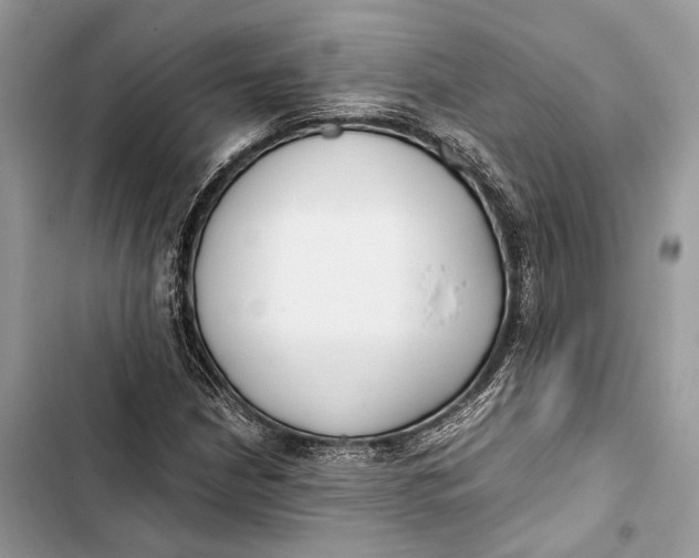 X0000103481210200810031535