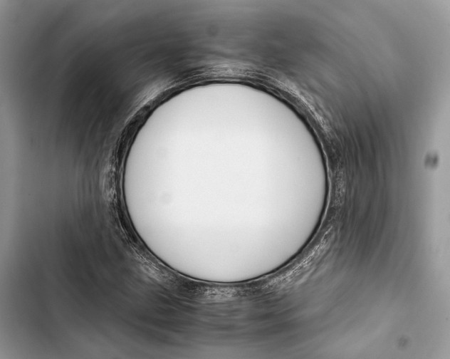 X0000103481211200810031535