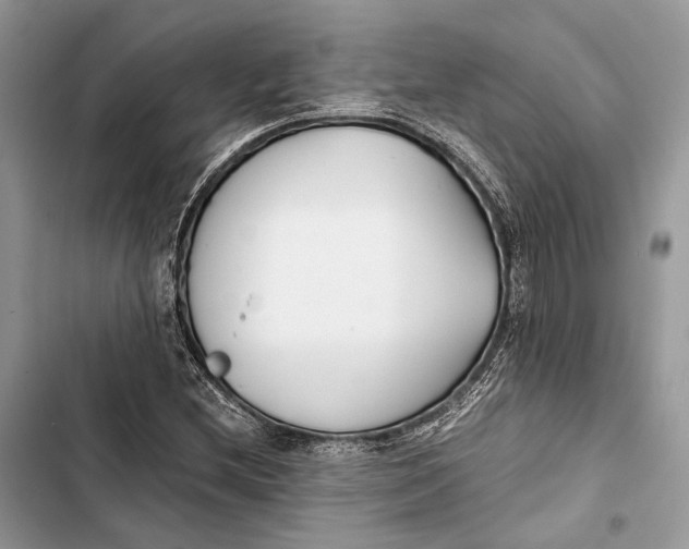 X0000103481212200810031535