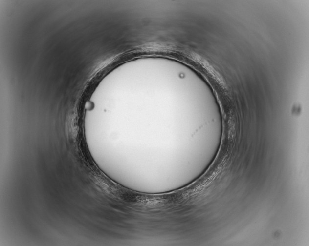 X0000103481213200810031535