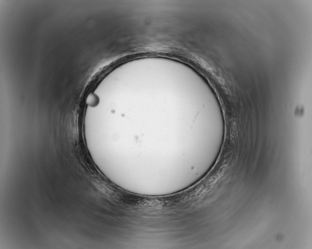 X0000103481214200810031535