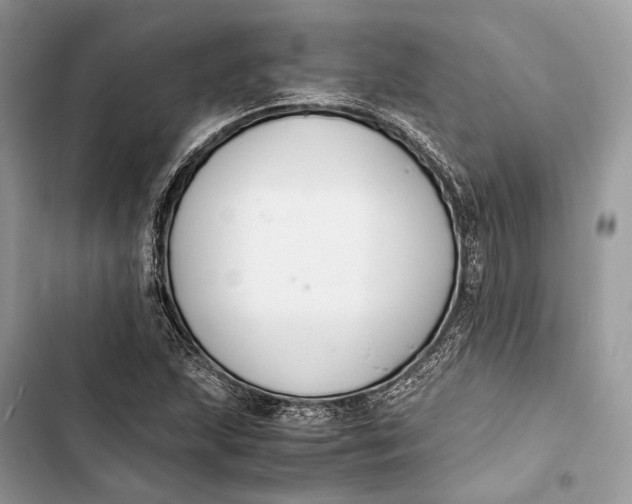 X0000103481215200810031535