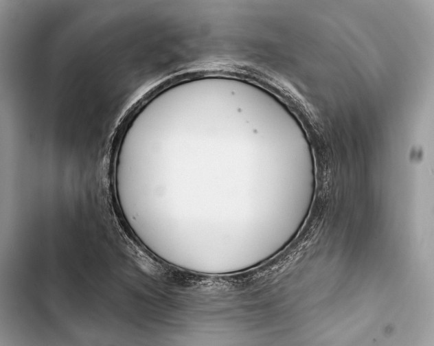 X0000103481216200810031535