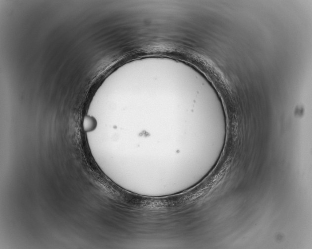 X0000103481217200810031535