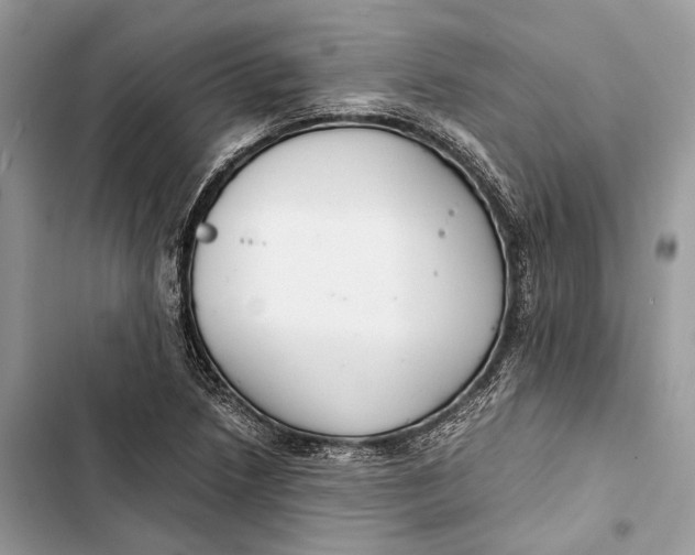 X0000103481218200810031535