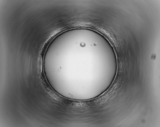 X0000103481219200810031535