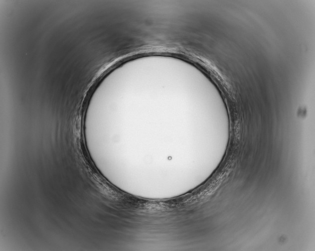 X0000103481220200810031535