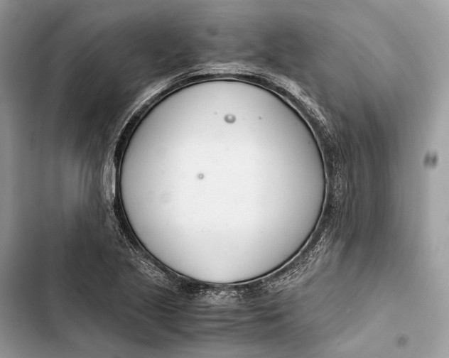 X0000103481221200810031535