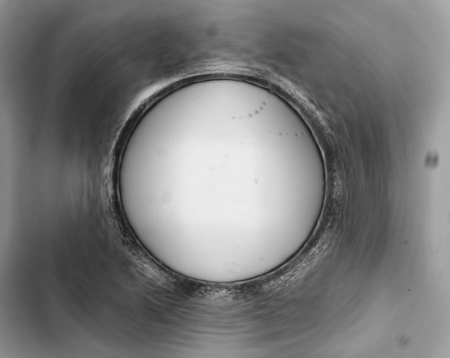 X0000103481222200810031535