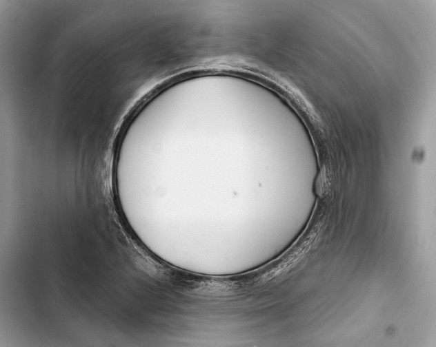 X0000103481224200810031535