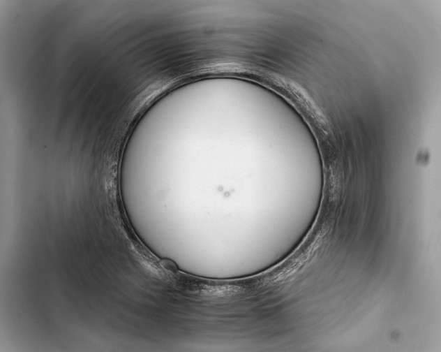 X0000103481225200810031535