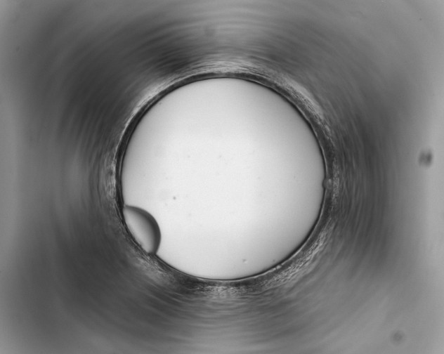 X0000103481226200810031535