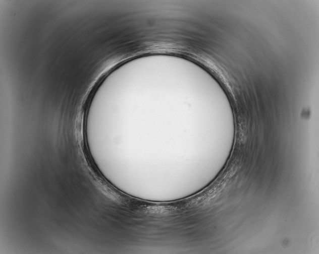 X0000103481227200810031535