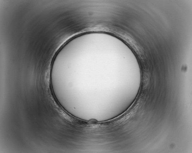 X0000103481228200810031535