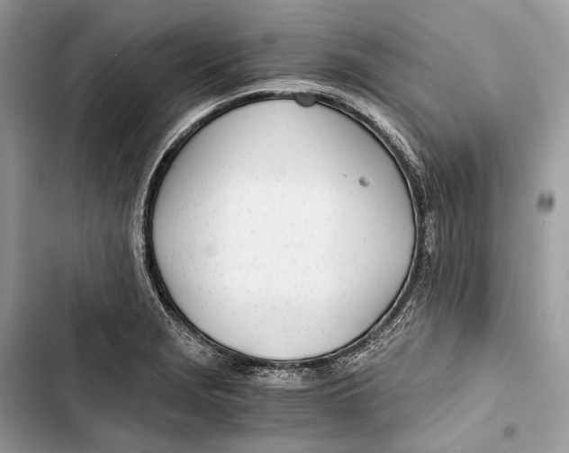 X0000103481229200810031535