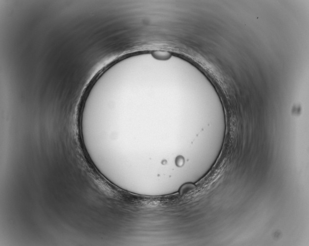 X0000103481230200810031535