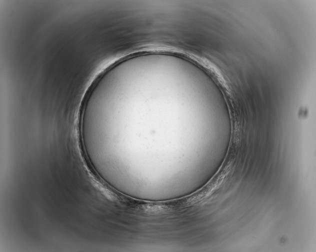 X0000103481231200810031535