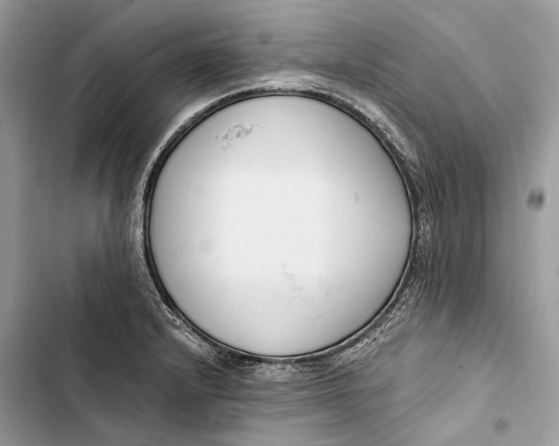 X0000103481232200810031535