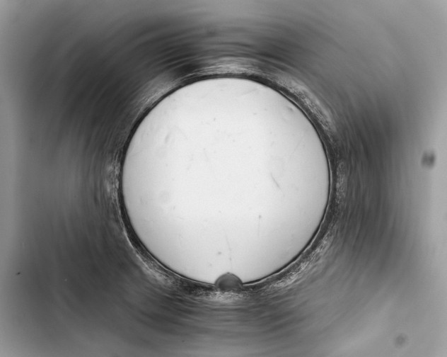 X0000103481233200810031535