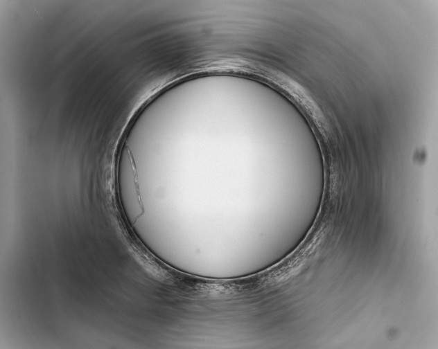 X0000103481234200810031535