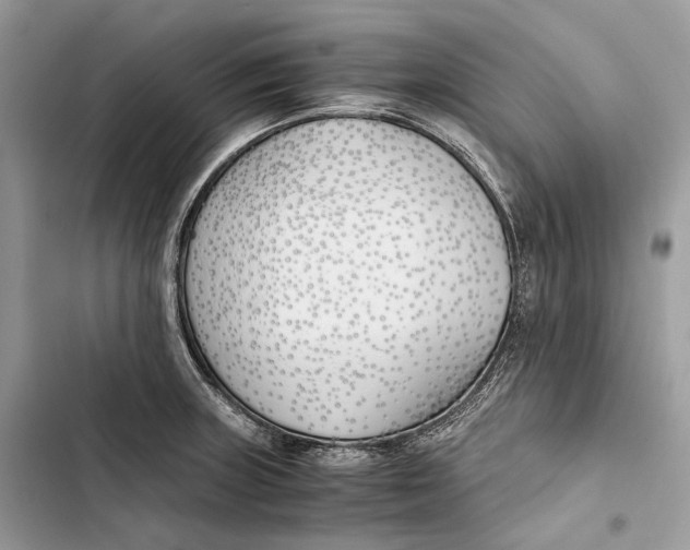 X0000103481235200810031535