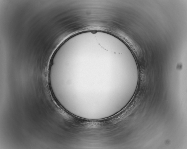 X0000103481236200810031535