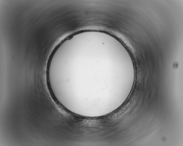 X0000103481237200810031535