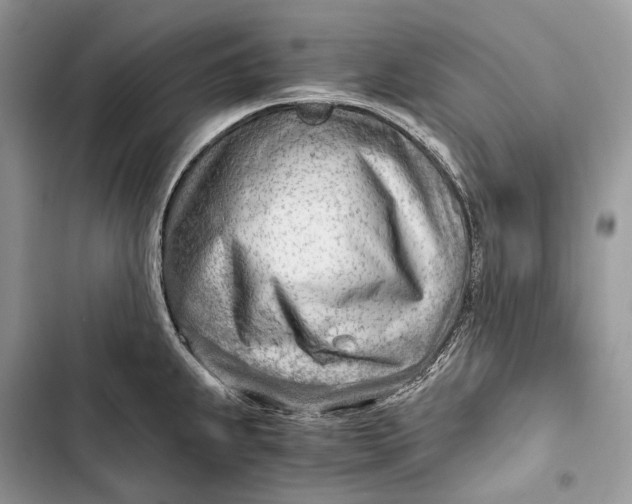 X0000103481239200810031536