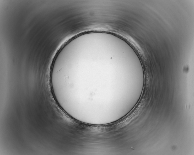 X0000103481240200810031536