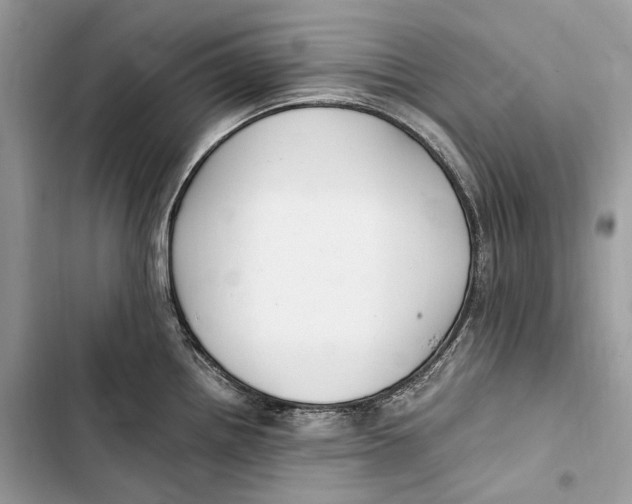 X0000103481242200810031536