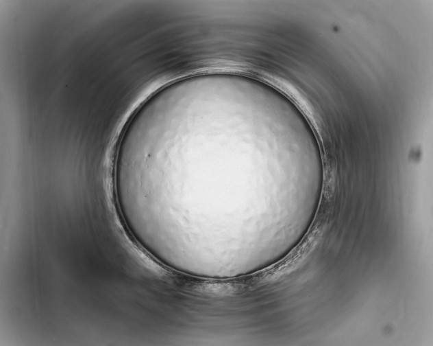 X0000103481243200810031536