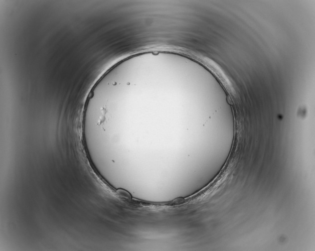 X0000103481244200810031536