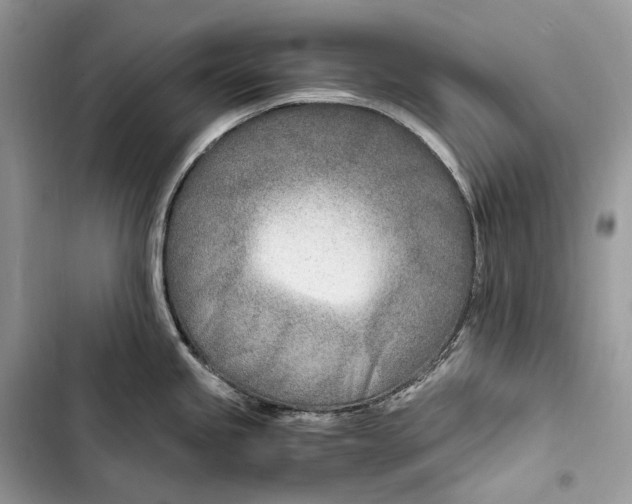 X0000103481245200810031536