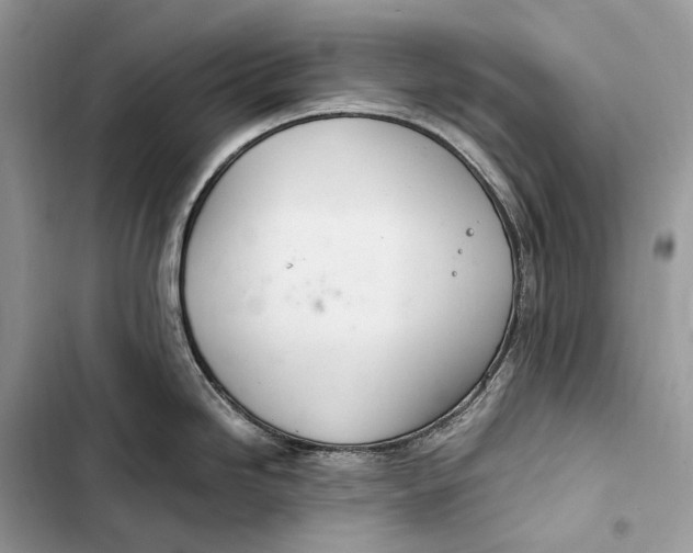 X0000103481246200810031536