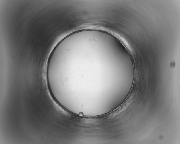 X0000103481247200810031536