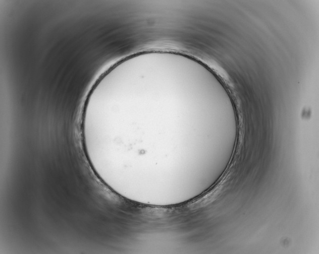 X0000103481248200810031536