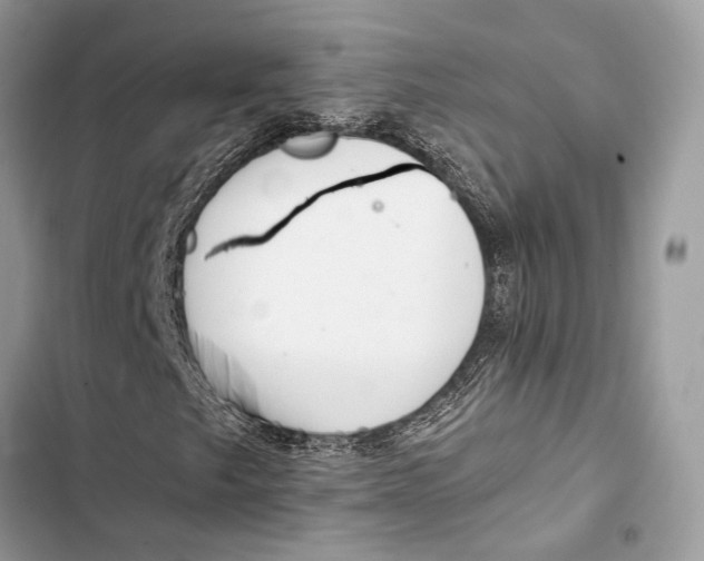 X0000103481249200810031535