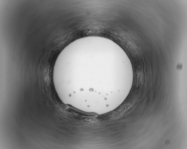 X0000103481250200810031535