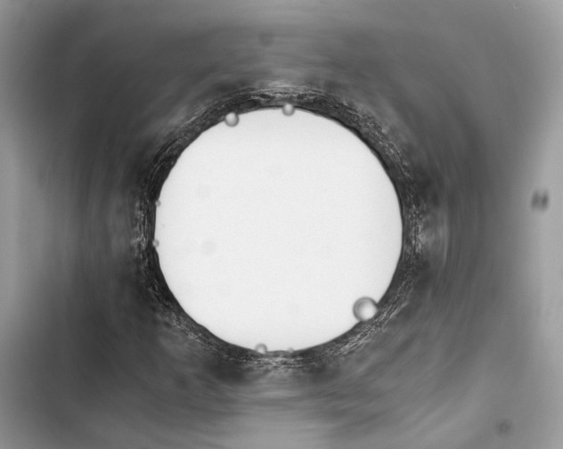 X0000103481253200810031535